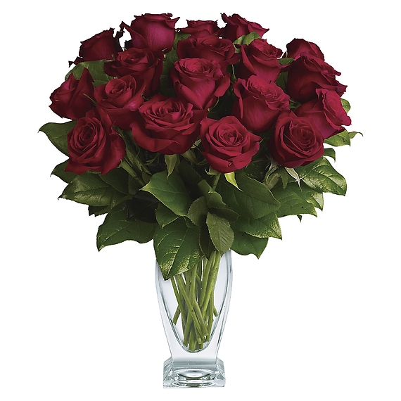 12 Rose Classique - Dozen Red Roses