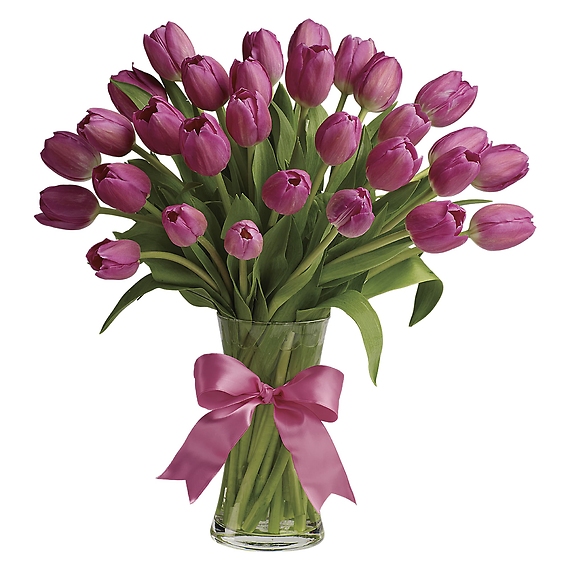 Precious Pink Tulips