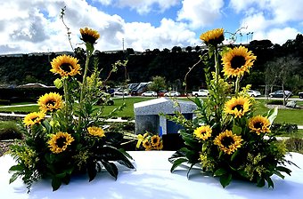Radiant Sunflower Urn Tribute